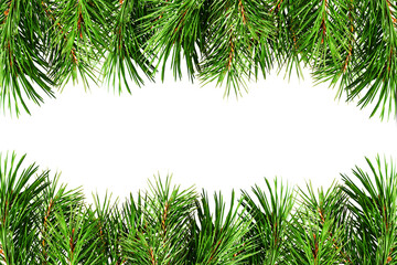 Green pine twigs for Christmas borders isolated on white or transparent background. Holiday frame.