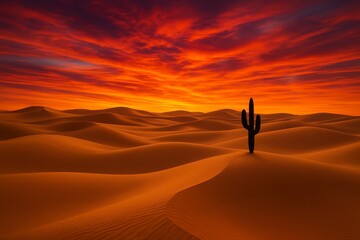 A desert landscape with a cactus silhouette against a fiery sunset