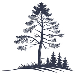 Silhouette of tall pine tree with smaller trees and grass