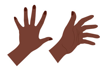 female hands vector illustration on white, palm hand front back