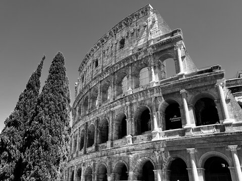 Colosseum in Rome, Italy (black and white)