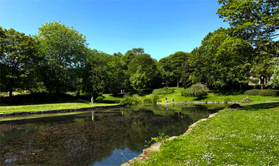 Fototapeta premium Serene summers day with a reflective pond, lush greenery, and clear skies, create a tranquil setting as visitors unwind by the water in, Harold Park, Low Moor, Bradford, UK