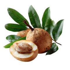 Fototapeta premium Delicious Sapodilla Fruit: Close-Up of Exotic Tropical Treat