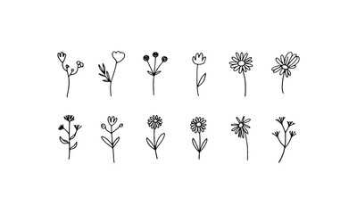Detailed Wildflower Line Art. Finely drawn wildflowers with botanical variation and consistent contour quality for refined nature-themed illustrations.