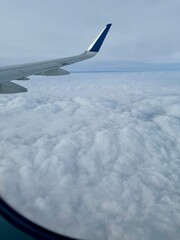 wing of an airplane