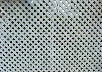 A white lattice fence creates a series of geometric patterns while casting shadows on the lush...