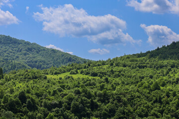 Green mountains, covered with dense forests and small clearings, stretch under a blue sky with...