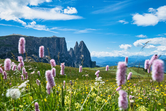 Schlern_S&uuml;dtirol_Seiser-Alm