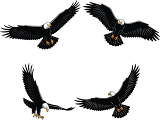 Silhouette of five birds in flight forming a circle against a pure white sky