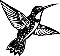 Graceful hummingbird in flight with long beak and wings extended silhouette vector