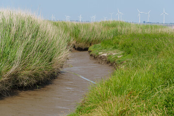 Ein Sommertag in Ostfriesland