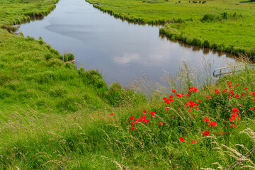 Ein Sommertag in Ostfriesland