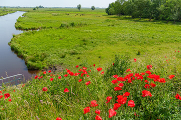 Ein Sommertag in Ostfriesland