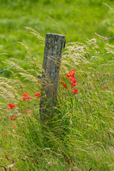 Ein Sommertag in Ostfriesland © Stephan Sühling