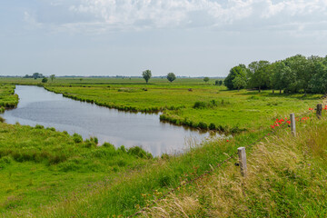 Ein Sommertag in Ostfriesland