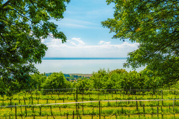 Hiking view from hill Badacsony, the highest mountain in the Tapolca basin near Lake Balaton near...