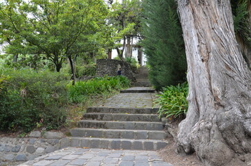 Camino Colonial