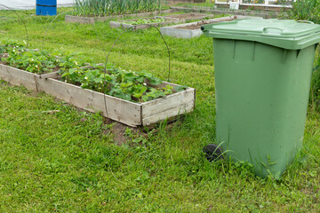 Green compost bin beside raised vegetable garden in lush allotment