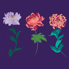 ILLUSTRATION with beautiful flowers for decoration