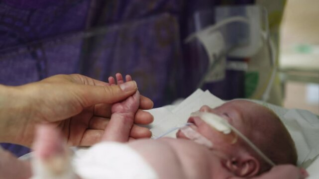 A premature baby lies in an incubator, hand held by an adult. The infant has medical equipment attached while resting on white linens.