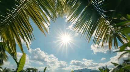 Fototapeta premium The sun shines brightly through the vibrant green palm leaves, embodying the essence of nature's beauty and serenity, creating a peaceful and warm atmosphere.