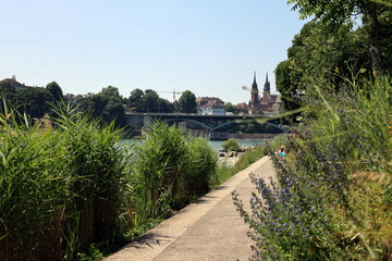 Fußweg am Rheinufer in Kleinbasel im Sommer