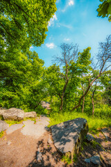 Hiking view from hill Badacsony, the highest mountain in the Tapolca basin near Lake Balaton near...