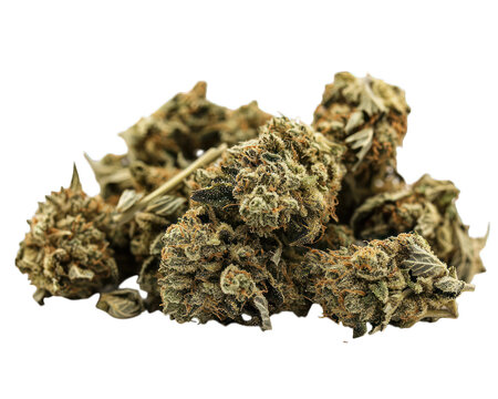 Close-up heap of clustered buds with orange pistils