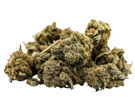 Close-up heap of clustered buds with orange pistils
