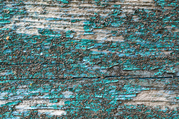 Textured weathered wood with peeling turquoise paint