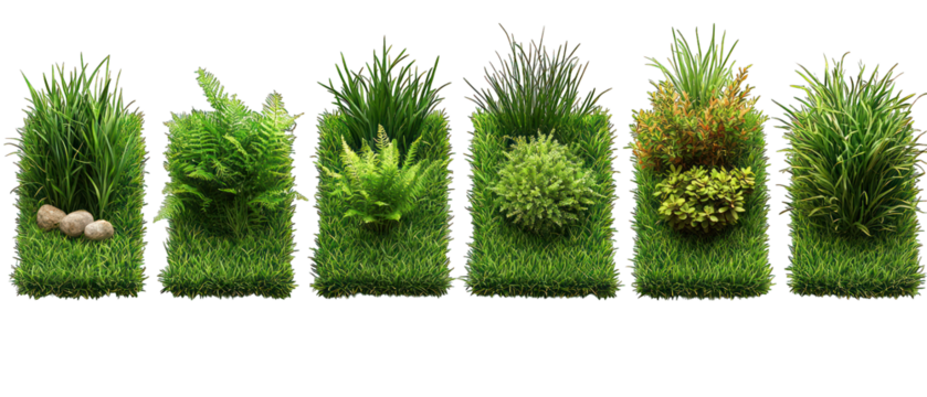 Diverse plants, grassy squares, earthy textures, isolated