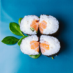 Japanese Cuisine – Salmon Sushi, Sashimi, and Nigiri Assortment
