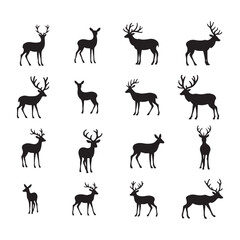 Silhouette collection of various deer poses with antlers and different stances on white background