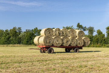 Hay bales stacked on a red trailer in a sunny field, surrounded by lush greenery and blue sky,...