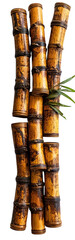 Group of golden bamboo stalks, with some green leaves
