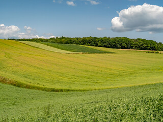 Scenic view of rolling farmland and green hills under a summer sky with clouds. Peaceful...