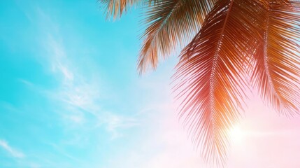 Lush palm leaves gracefully frame the vibrant blue sky, contrasting beautifully with the warm sunlight, evoking feelings of summer, relaxation, and a tropical paradise.