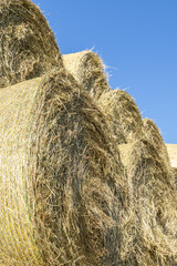Large round hay bales stacked in a sunny field against a clear blue sky, showcasing the texture of...