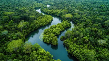 Premium photo of green beautiful amazonian jungle landscape with trees and river, drone view.