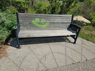Empty bench in the park with green graffiti 