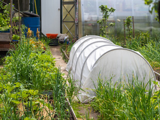 A small greenhouse in the garden on the bed