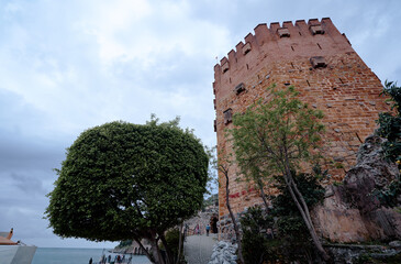 Historic Red Brick Tower and Scenic Landscape with Towering Tree