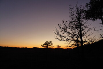 Nationalpark  Torronsuon bei Abenddämmerung