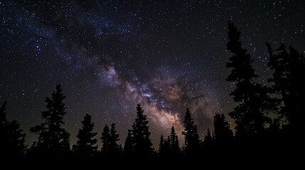 Starry night sky, Milky Way visible in the center with many stars scattered across it, silhouettes of trees below, shot from an eye-level perspective.