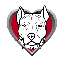 AST-pitbull-in-heart