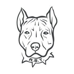 amstaff-ast-Tira-face