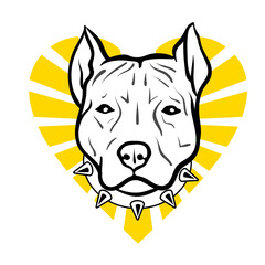Vintage vector art: Pitbull or AmStaff head (spiked collar) overlays a yellow retro sunburst heart background. Black and white dog contrasts warm rays. Nostalgic emblem for retro pet lovers or clubs