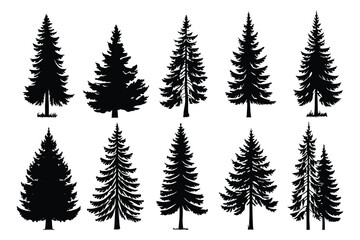 Obraz premium Evergreen forest tree vector collection – isolated pine and fir tree shapes