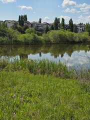 Pond in the city with trees and foliage around it