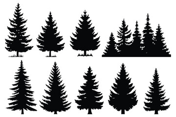 Black pine tree illustrations – natural forest and Christmas tree vector set